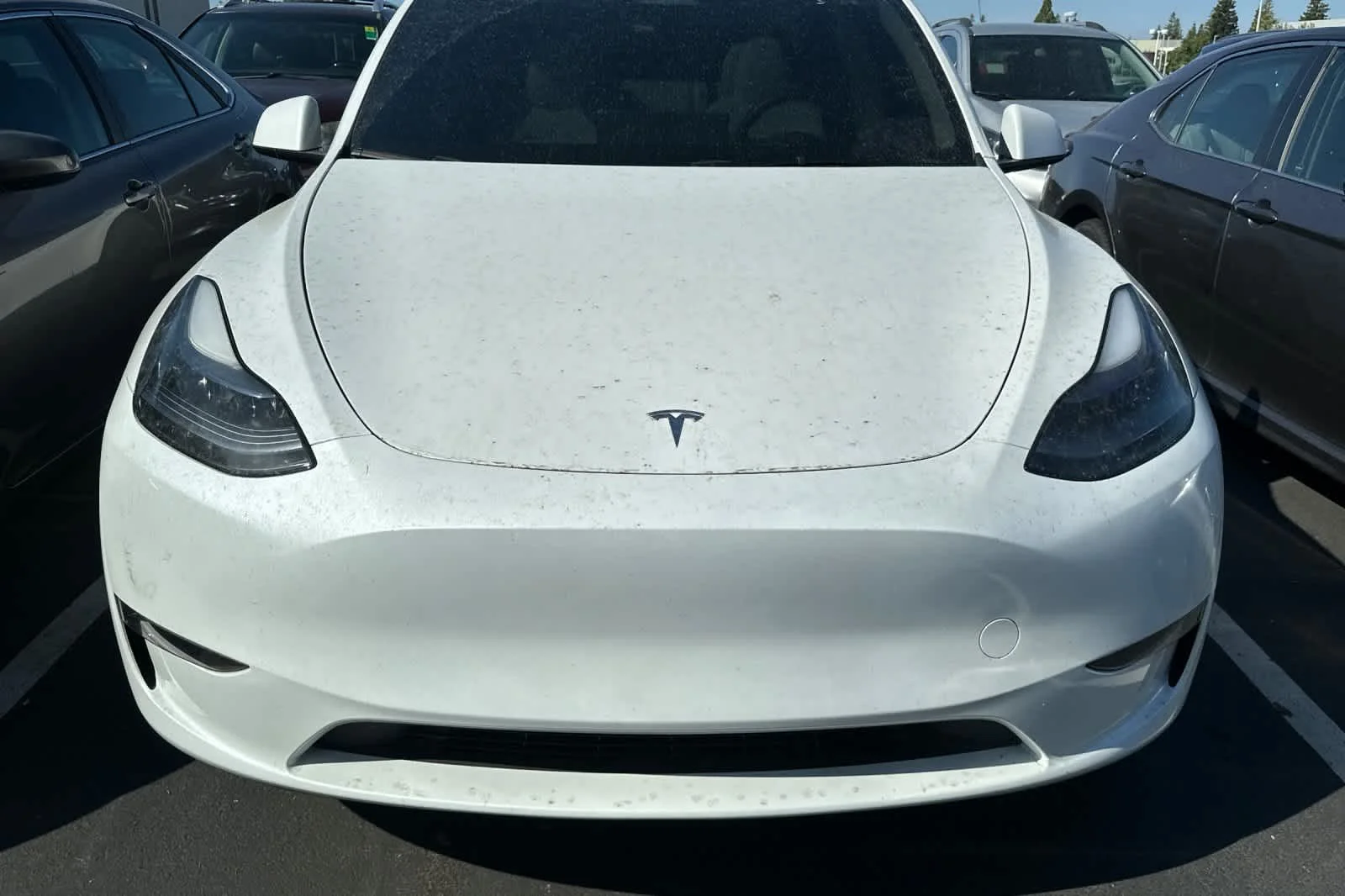 Used 2024  Tesla Long Range image 9