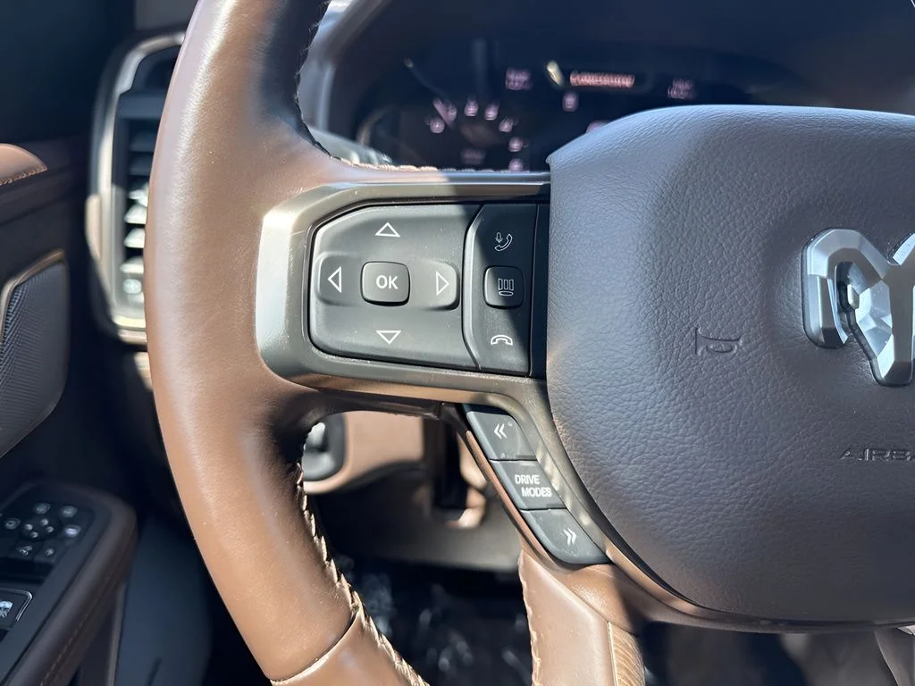 Used 2025 Black Ram Limited image 17