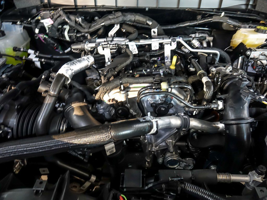 New 2026 Shadow Black Ford NS EDITION image 30