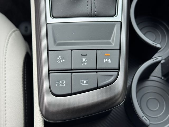 New 2026 Panthera Metal Kia EX image 23