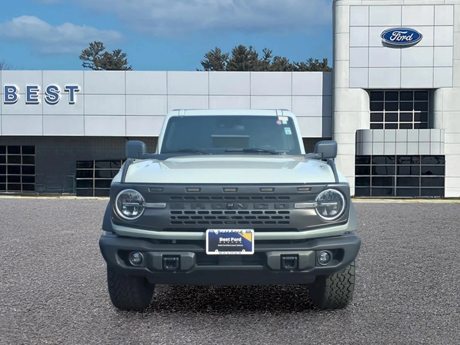 Used 2024 Cactus Gray Ford Black Diamond image 10