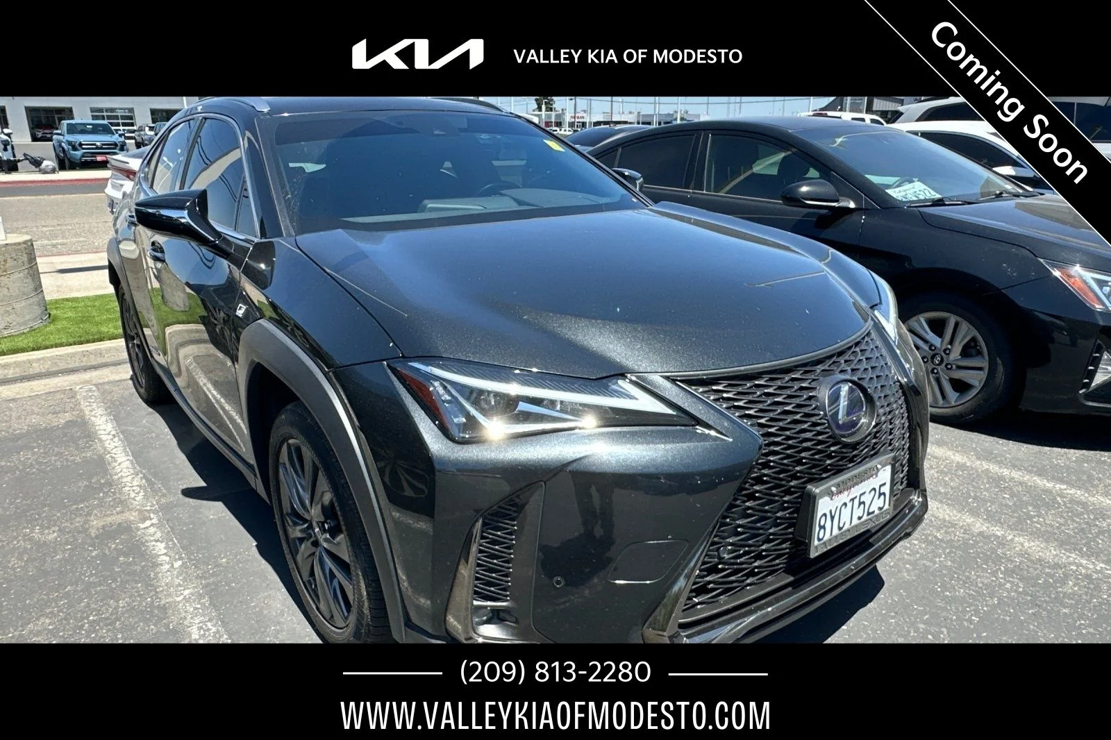 2021 Lexus UX 300h 250h F SPORT AWD's photo