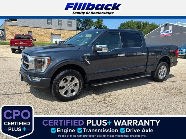 Used 2022 Quartz Metallic Ford Platinum image 1
