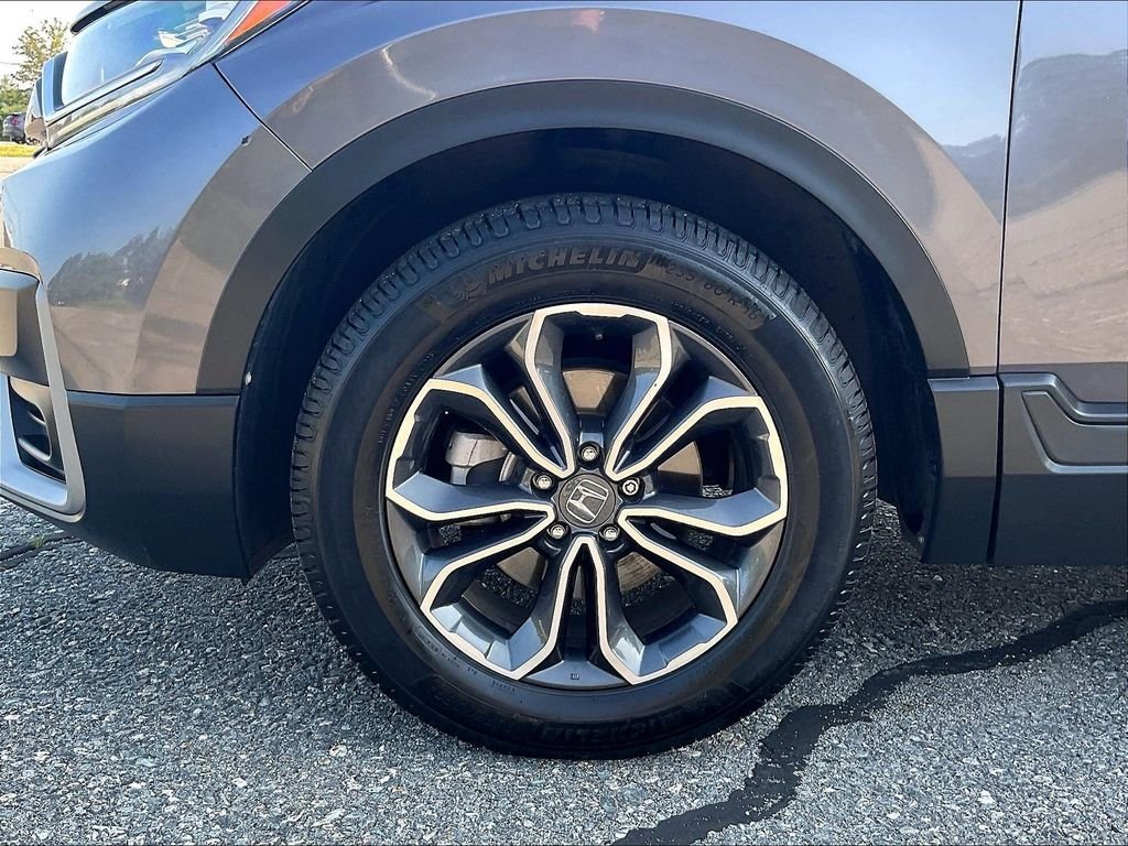 Used 2022 Gray Honda EX-L image 7