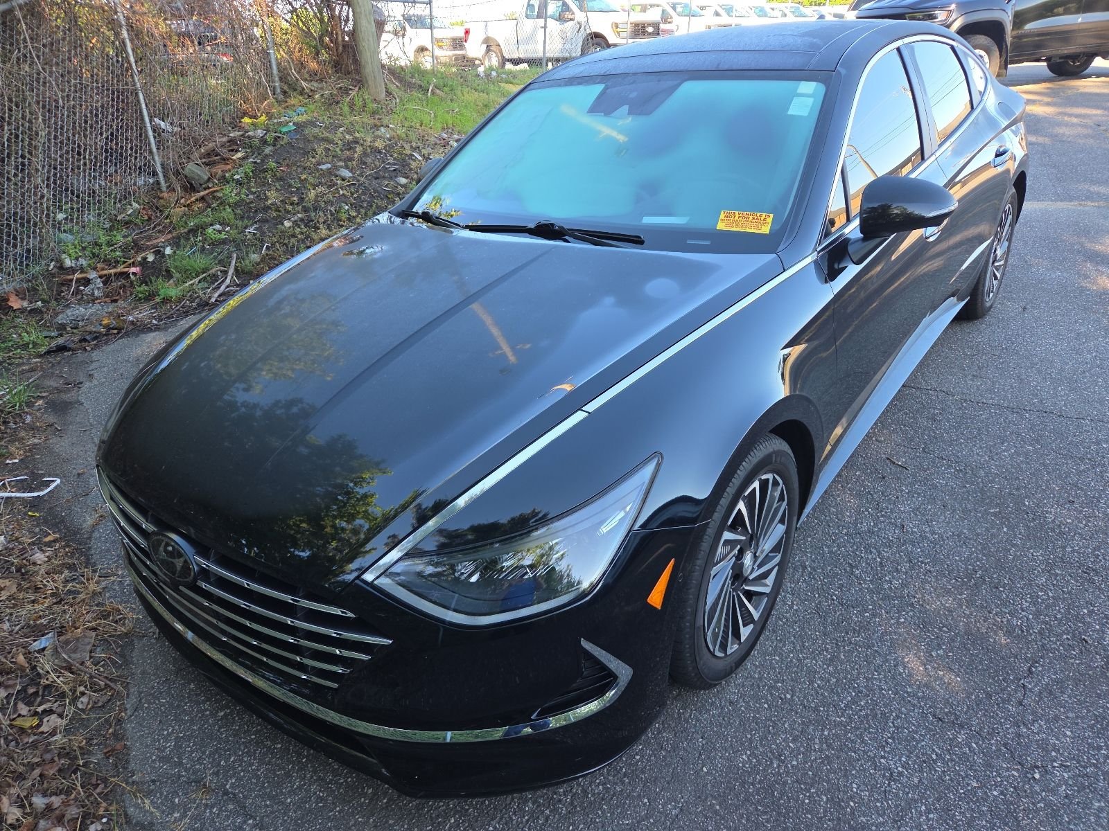 2023 Hyundai Sonata Limited's photo