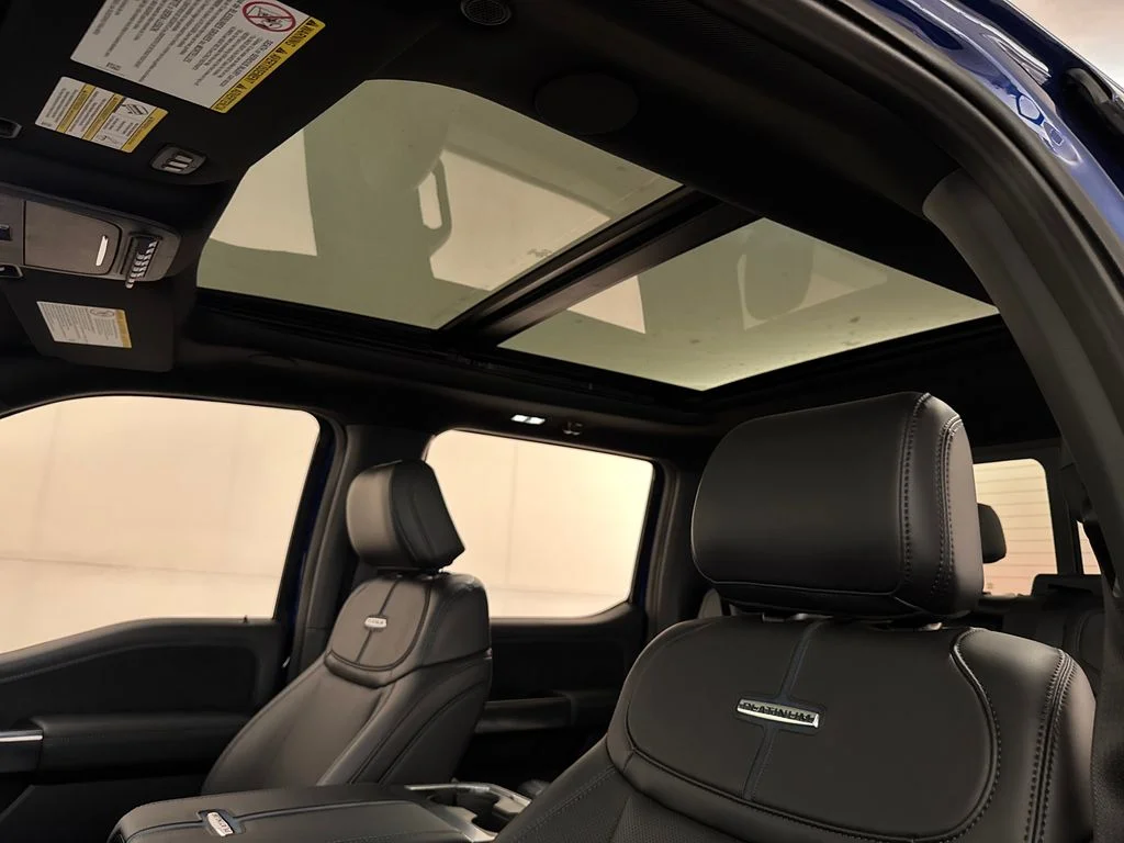 New 2026 Blue Ford Platinum image 30