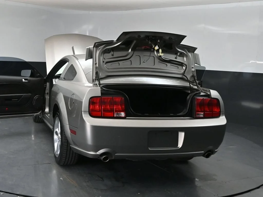 Used 2008 Gray Ford GT Deluxe image 39