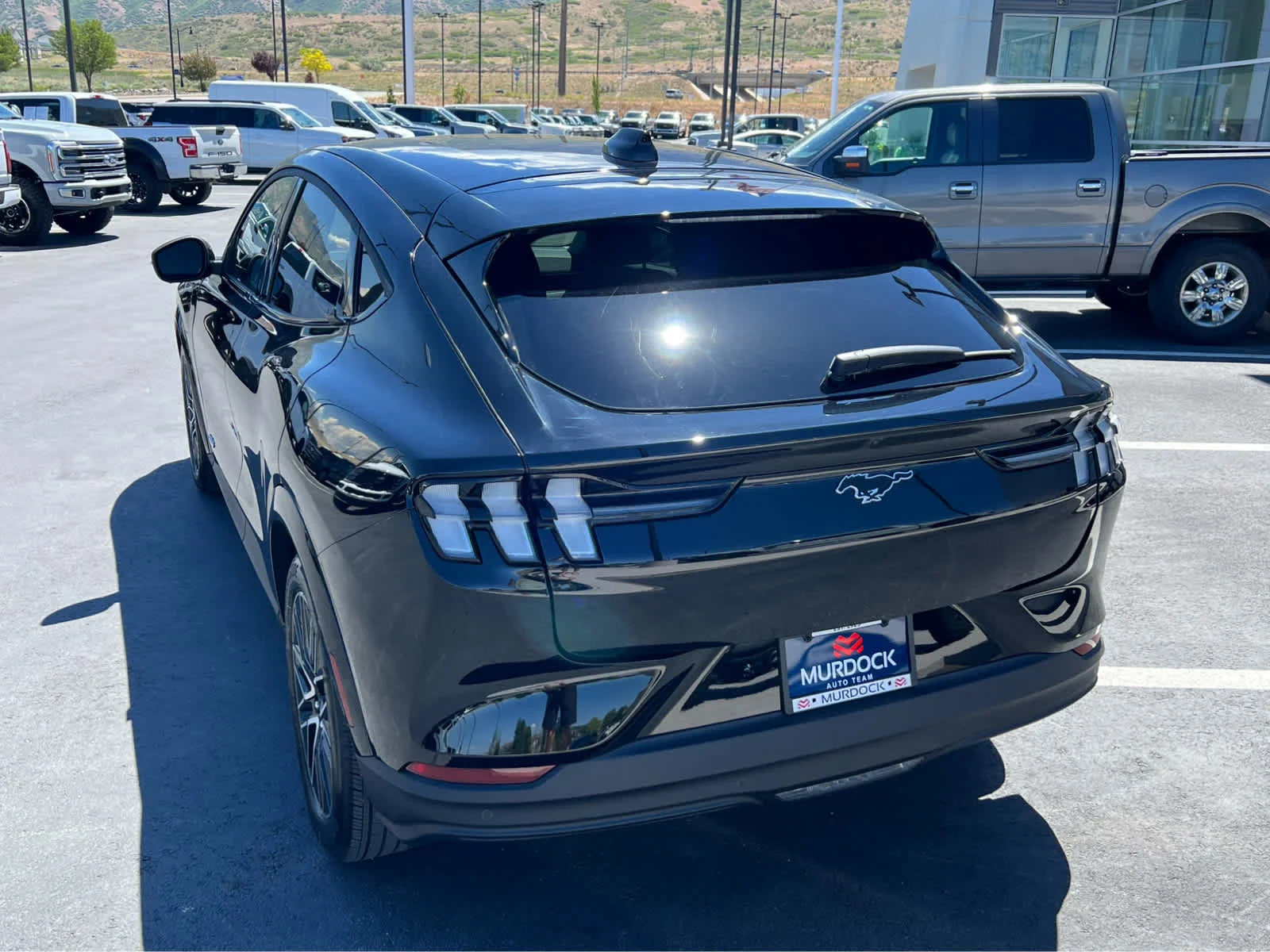 New 2026 Shadow Black Ford Premium image 10