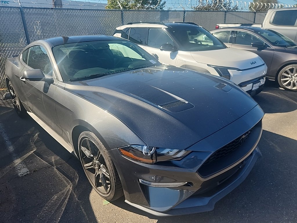 Used 2019 Magnetic Ford EcoBoost image 1