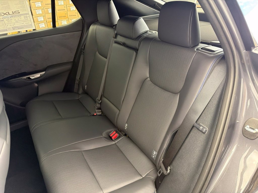 New 2026 Cloudburst Gray and Black Onyx Lexus  550e F SPORT AWD image 19
