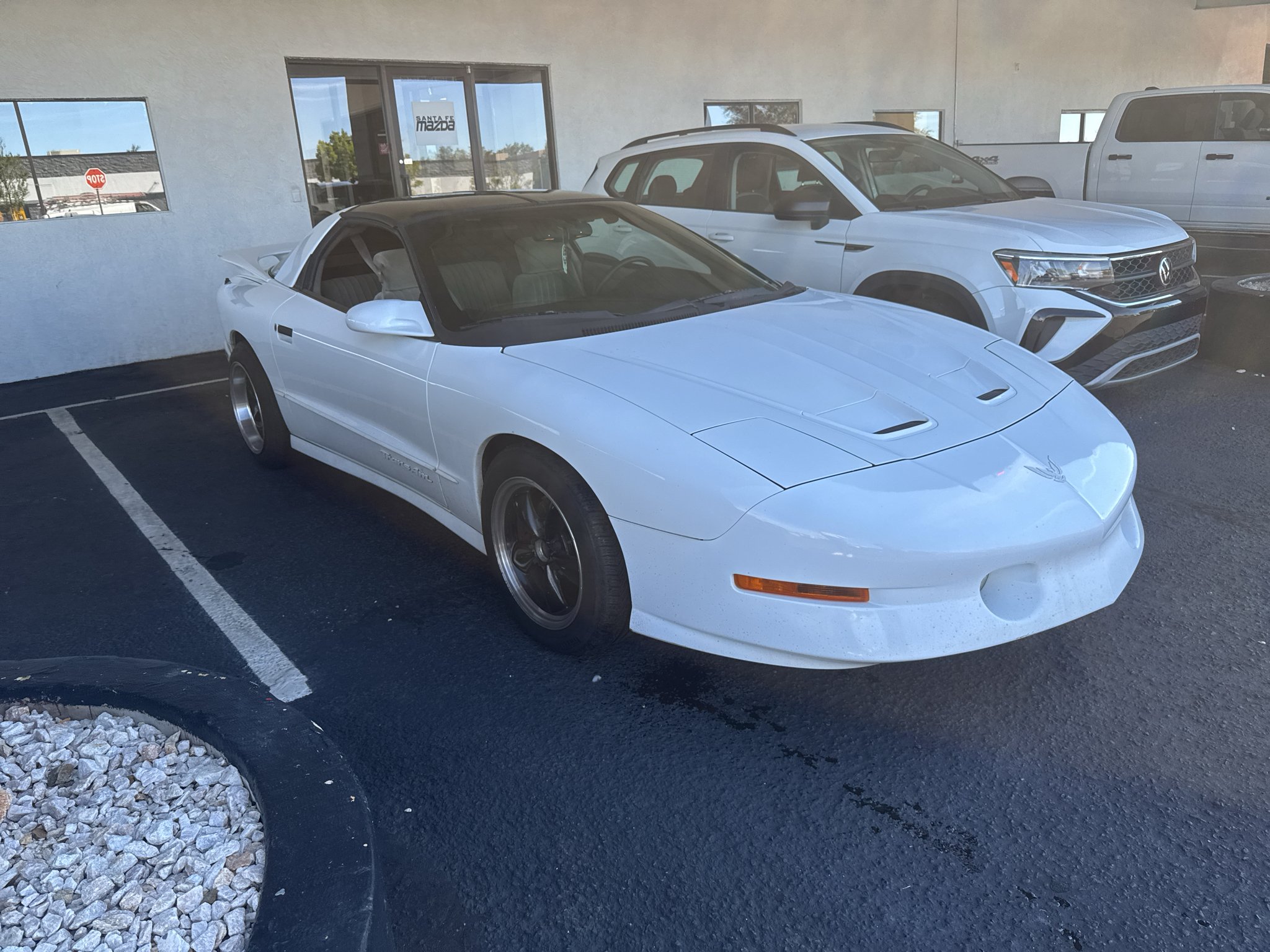 Used 1997  Pontiac Trans Am image 3