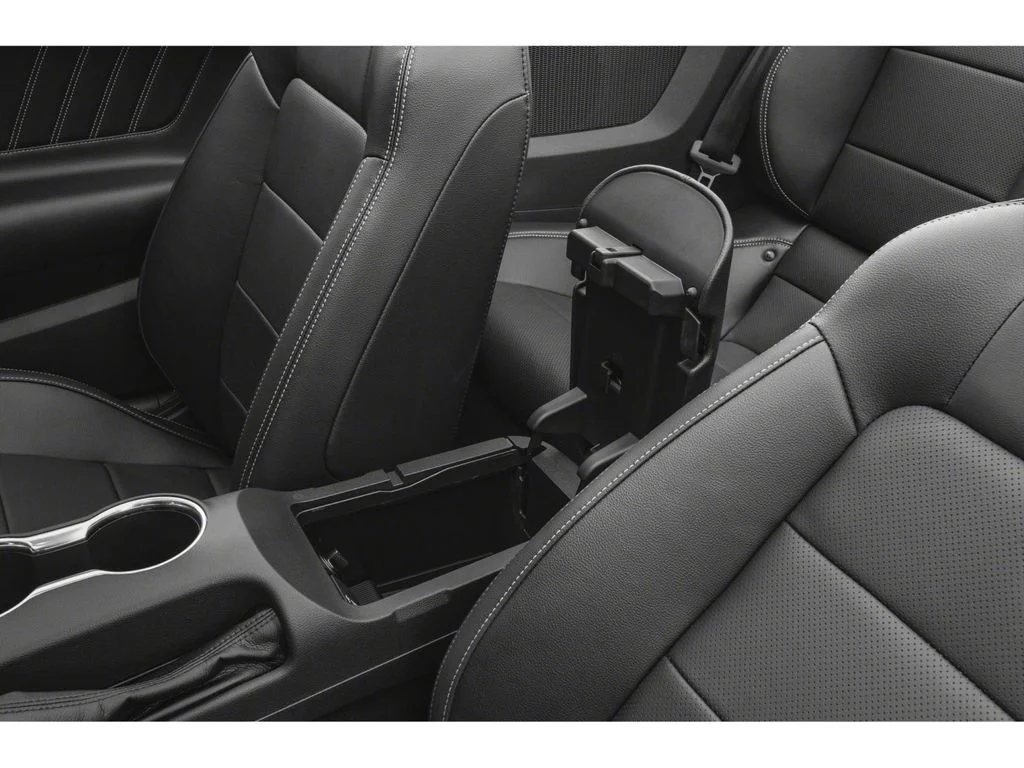 Used 2019 Magnetic Ford EcoBoost Premium image 9