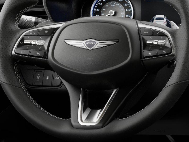 New 2026 Vik Black Genesis 2.5T image 42