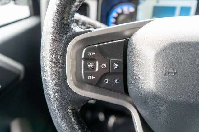 Used 2022 Blue Ford Black Diamond image 24