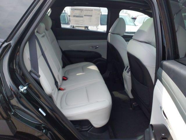 New 2026 Ash Hyundai Limited image 13