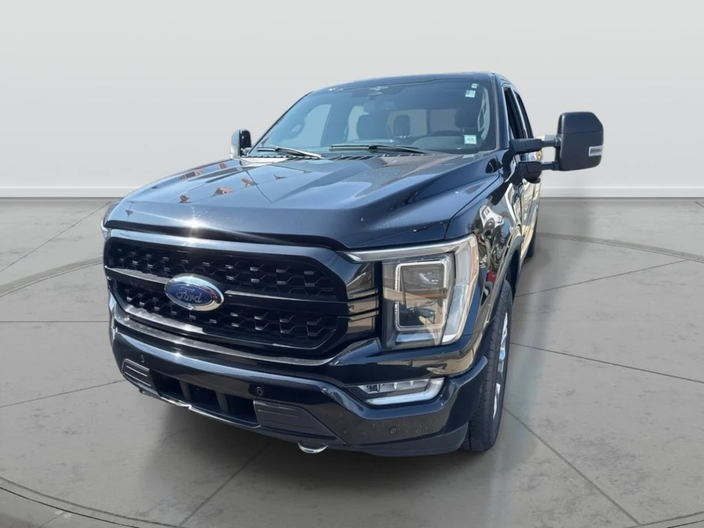 Used 2023 Black Ford Platinum image 3