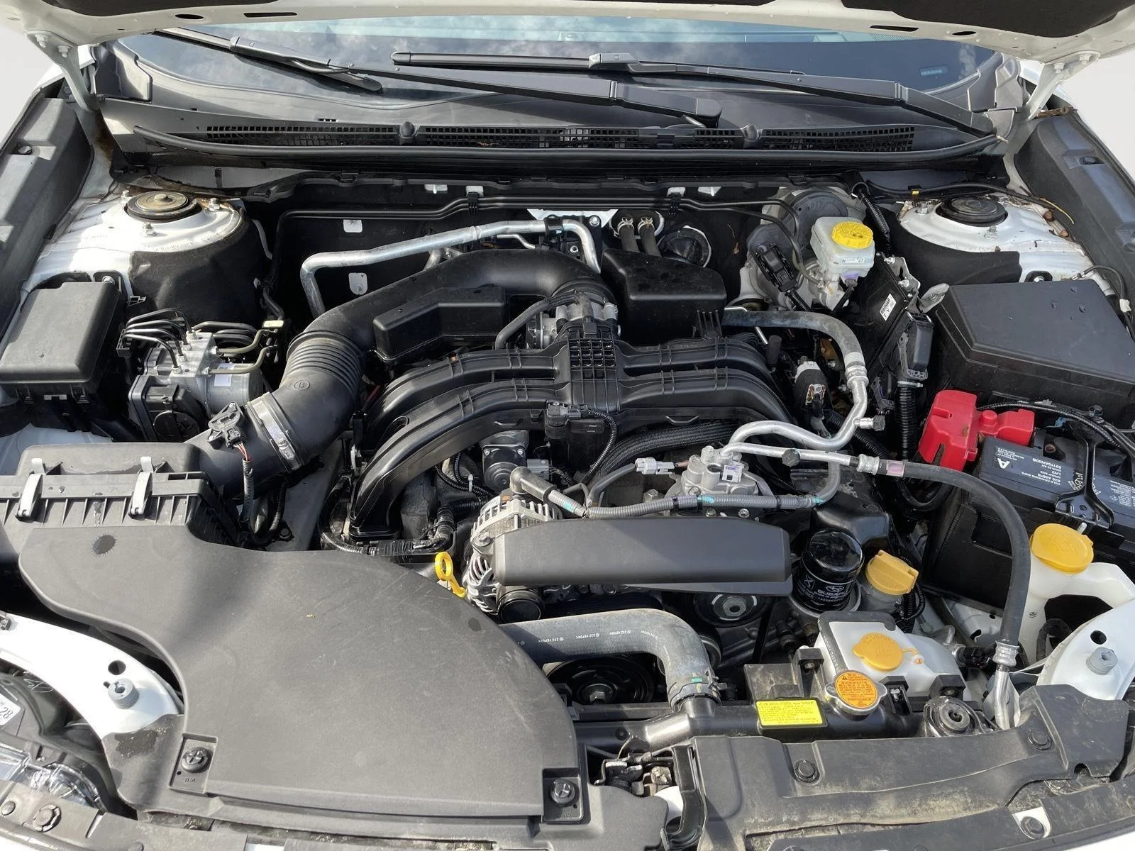 Certified Used 2024 Crystal White Pearl Subaru Premium image 18