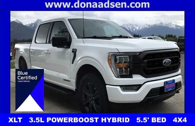 2023 Ford F-150 XLT 4x4 SuperCrew 145 in's photo