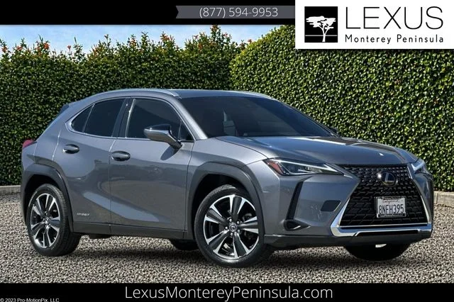 2019 Lexus UX 300h 250h AWD's photo