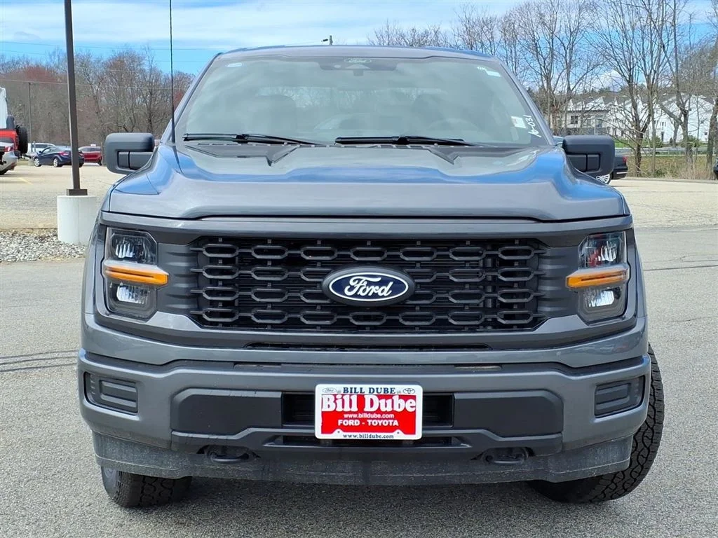 New 2026 Gray Ford STX image 2
