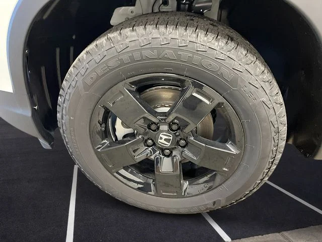 New 2026 Platinum White Pearl Honda Black Edition image 10