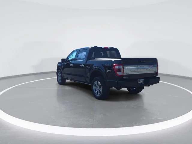 Used 2023 Black Ford Platinum image 8