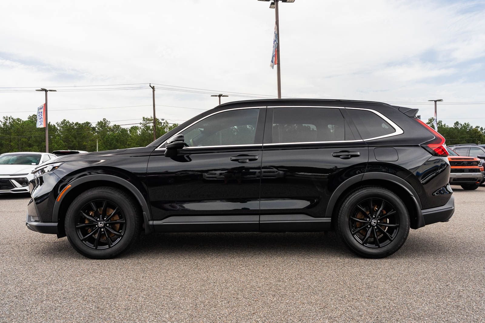 Used 2024 Black Honda Sport image 4