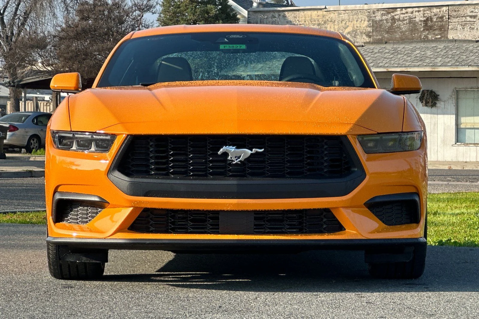 New 2026 Orange Fury Metallic Tri-coat Ford EcoBoost® Fastback image 11