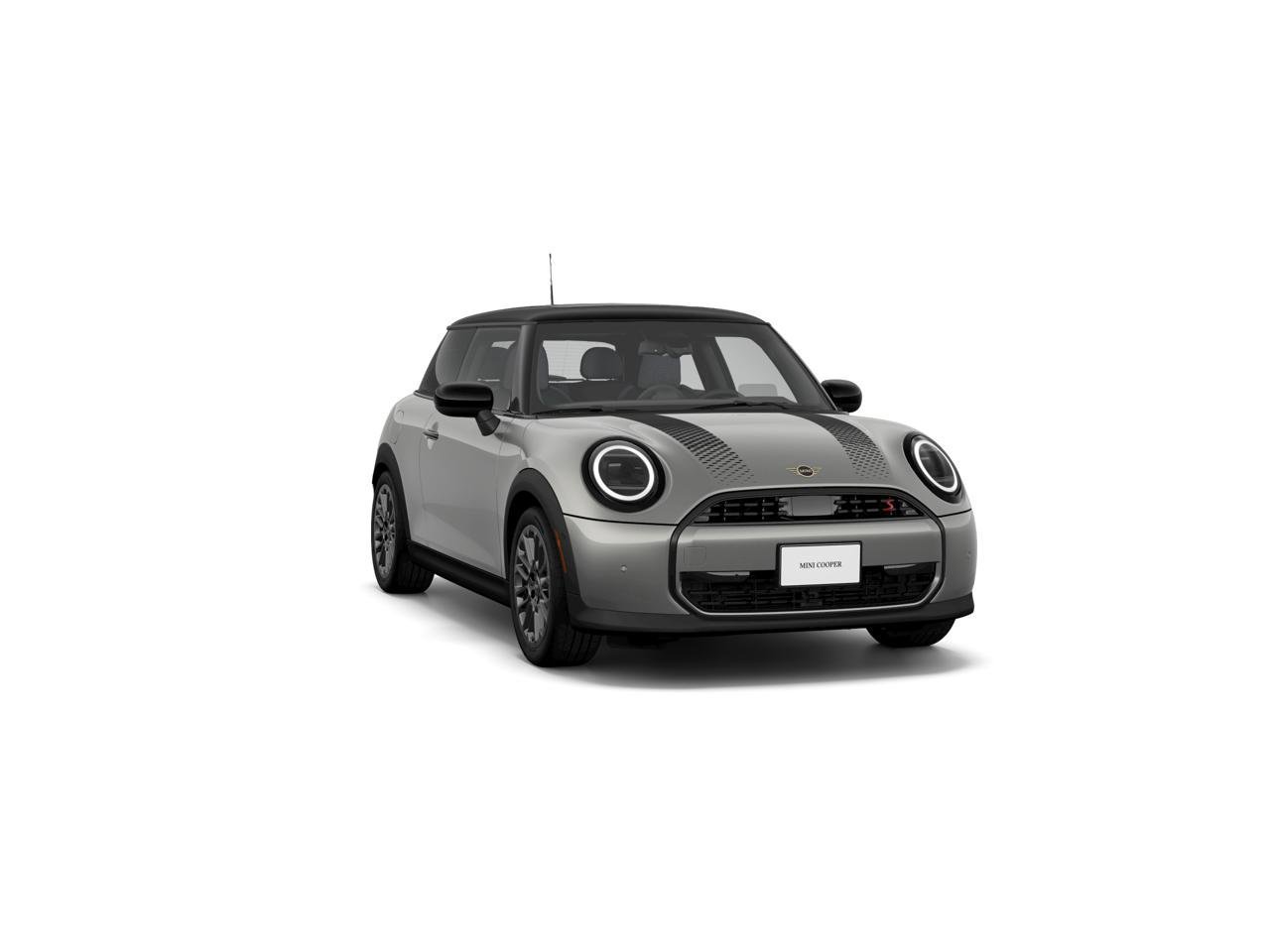 New 2026 Melting Silver III Metallic MINI Signature Plus image 1