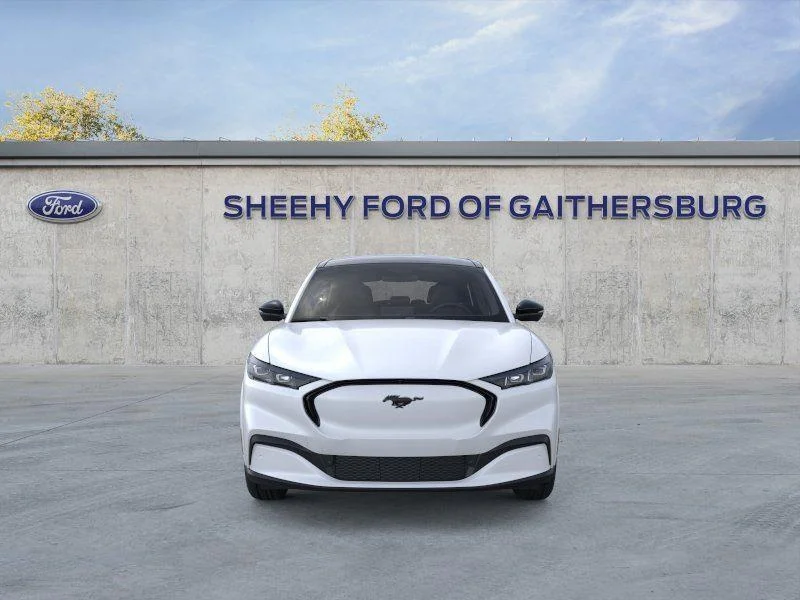 New 2026 Star White Metallic Tri-coat Ford Premium image 6