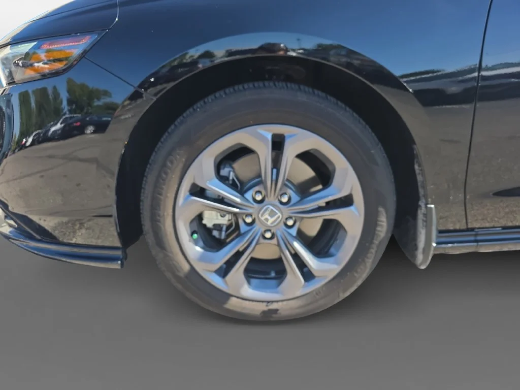 2025 Honda Accord Hybrid EX-L - Photo 14