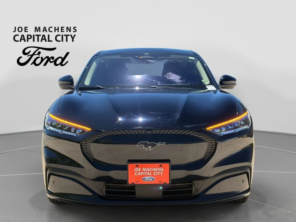 Used 2023 Black Ford California Route 1 image 10