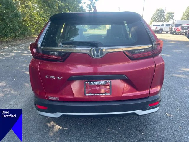 Used 2020  Honda LX image 4