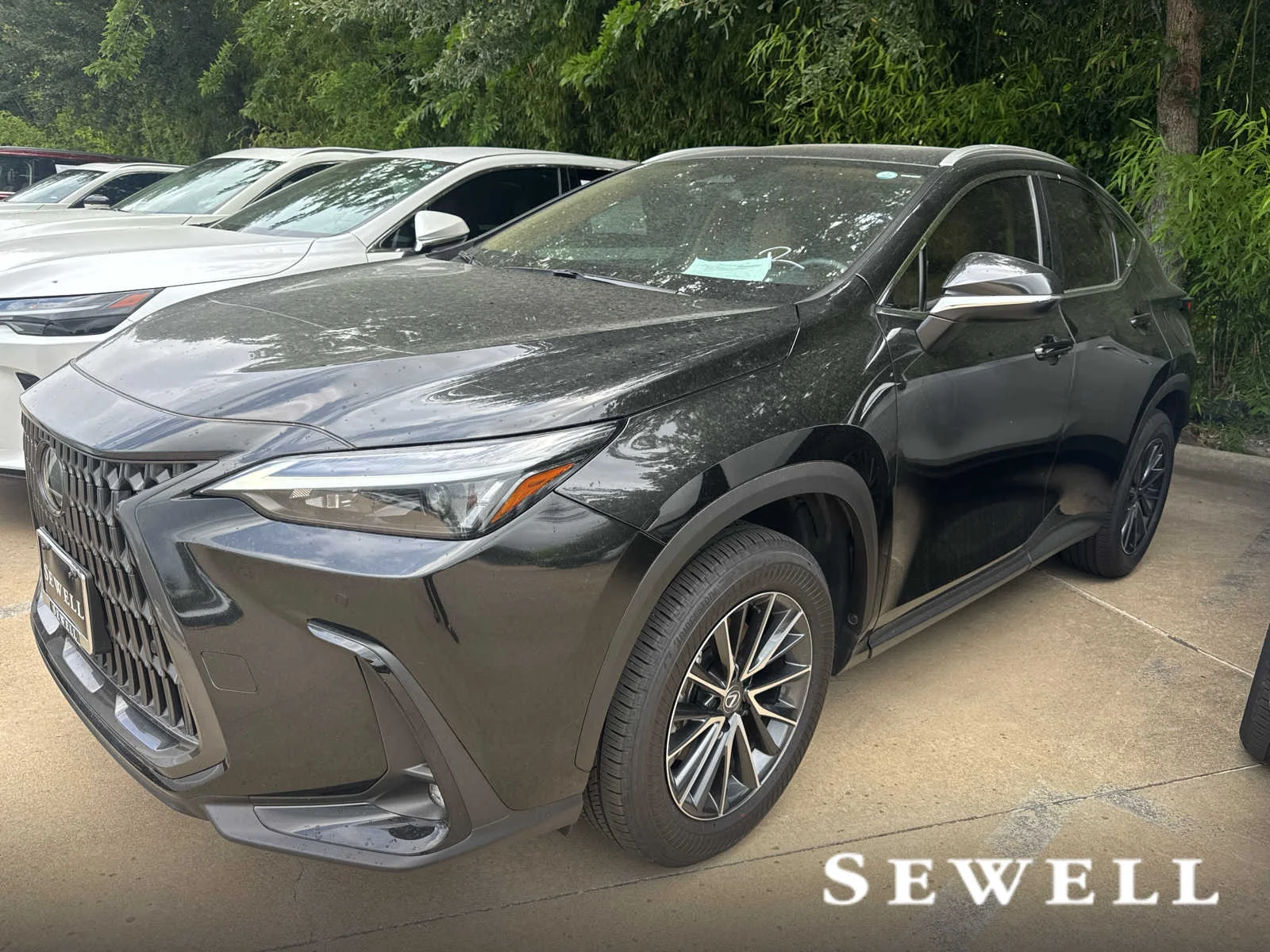 2025 Lexus NX 350's photo