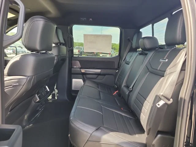New 2026 Black Metallic Ford Platinum image 13