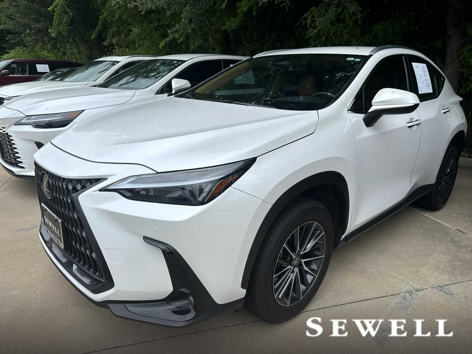 2025 Lexus NX 350's photo