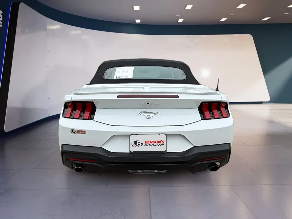 Used 2025 White Ford EcoBoost Premium image 3