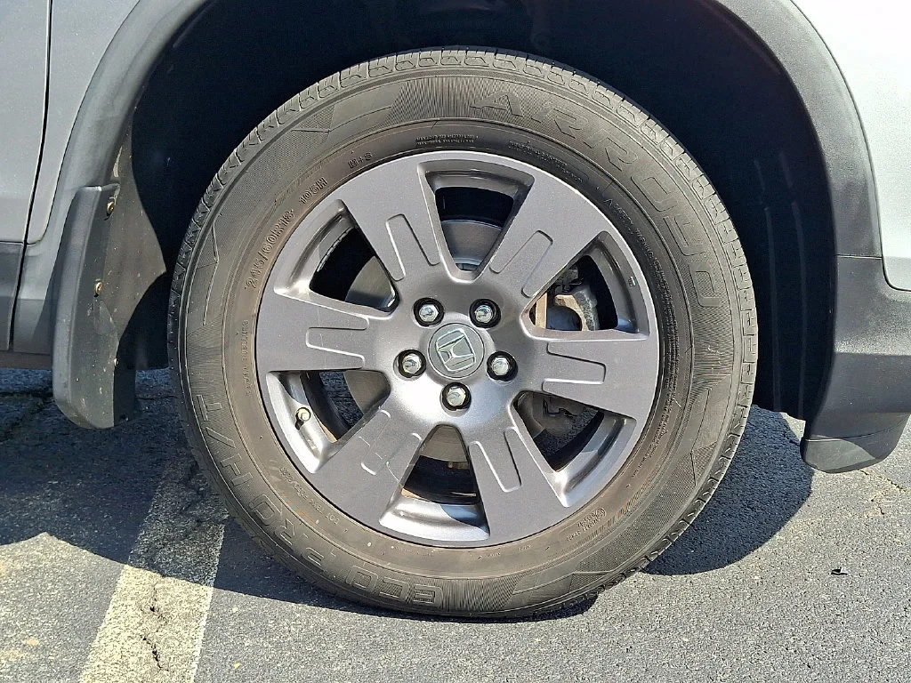 Photo 8