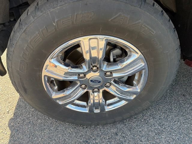 Used 2019 Chili Pepper Red Ford XLT image 11
