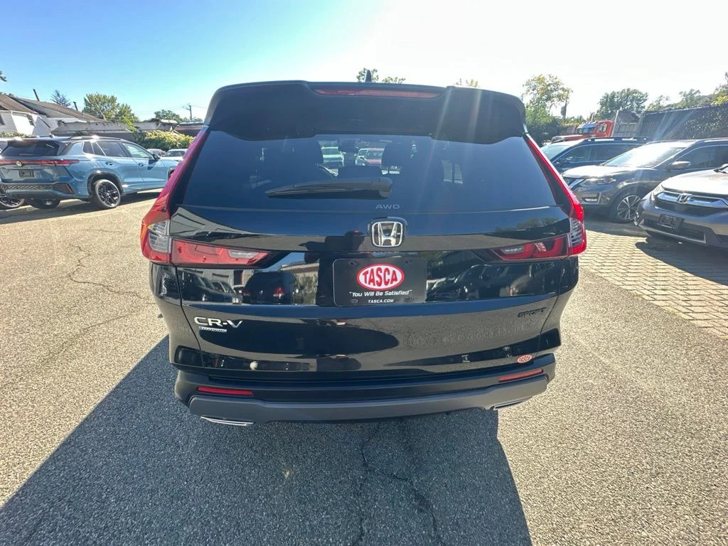 Used 2025 Black Honda Sport image 5