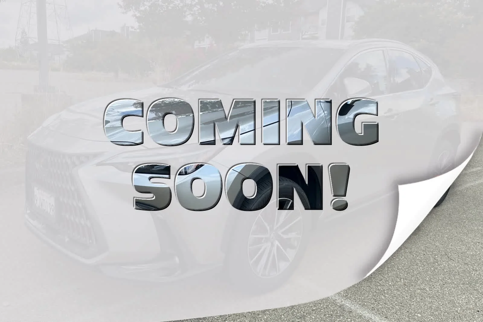 2024 Lexus NX 350h 350h AWD's photo