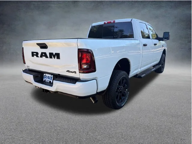 New 2027 Bright White Clear-Coat Paint RAM Black Express image 8