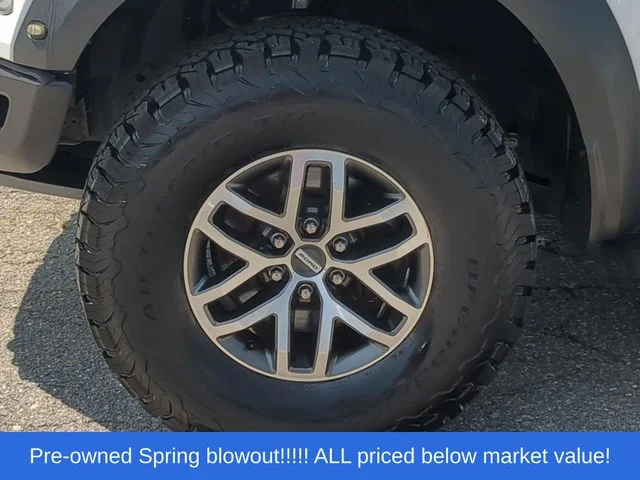 Used 2018 White Ford Raptor image 18