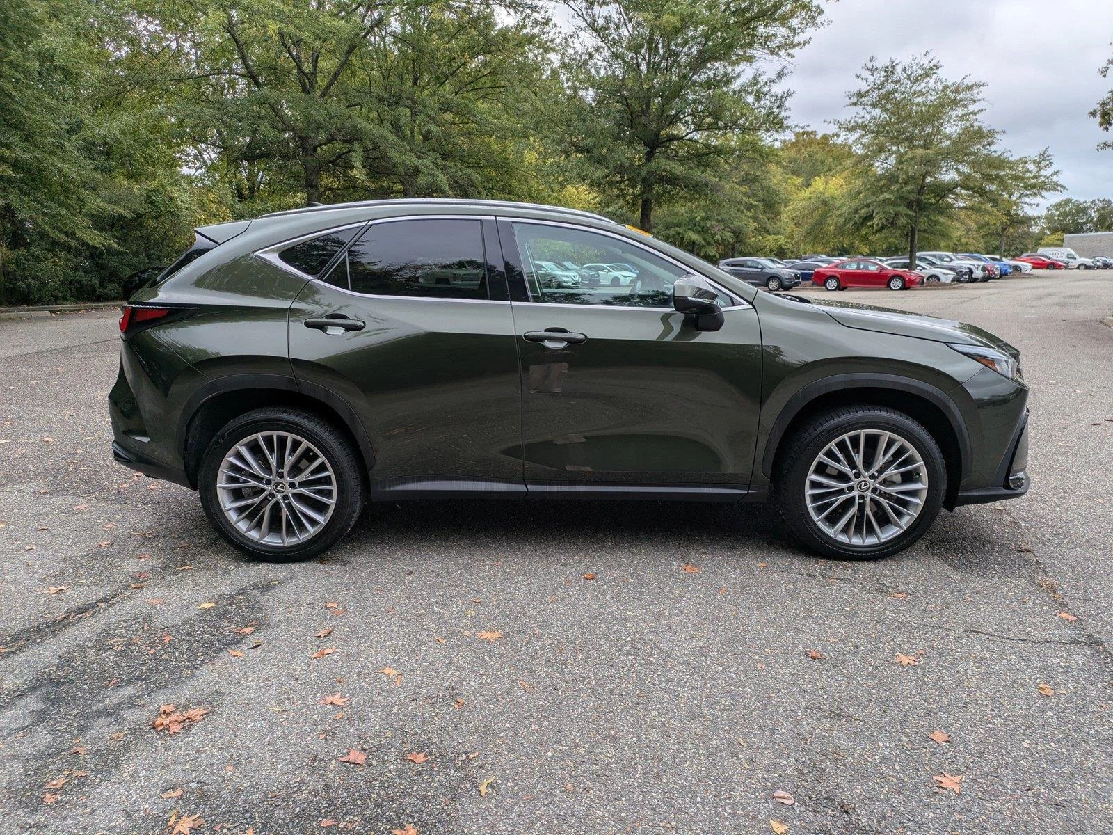 Used 2025 Nori Green Pearl Lexus NX 350 Premium image 3