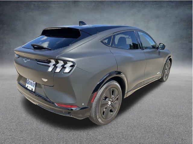 Used 2023 Blue Ford California Route 1 image 22