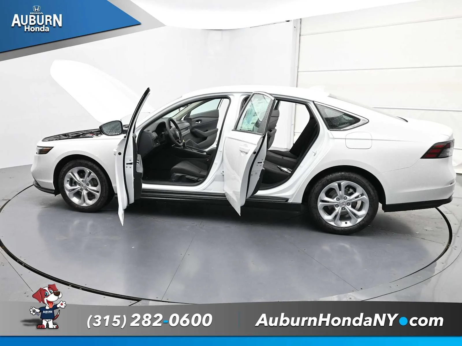 New 2025 Platinum White Pearl Honda LX image 34