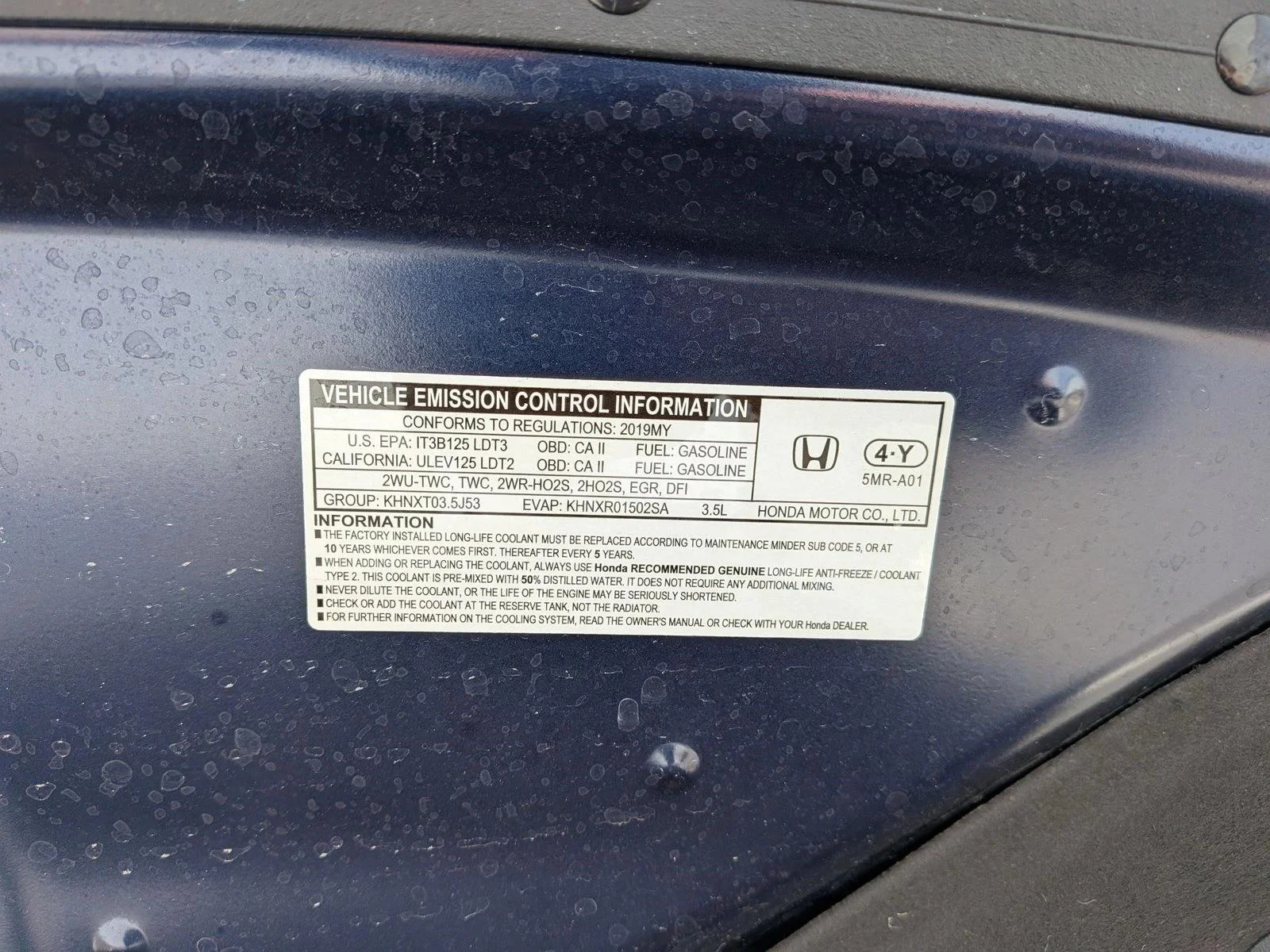 Used 2019 Blue Honda Elite image 26