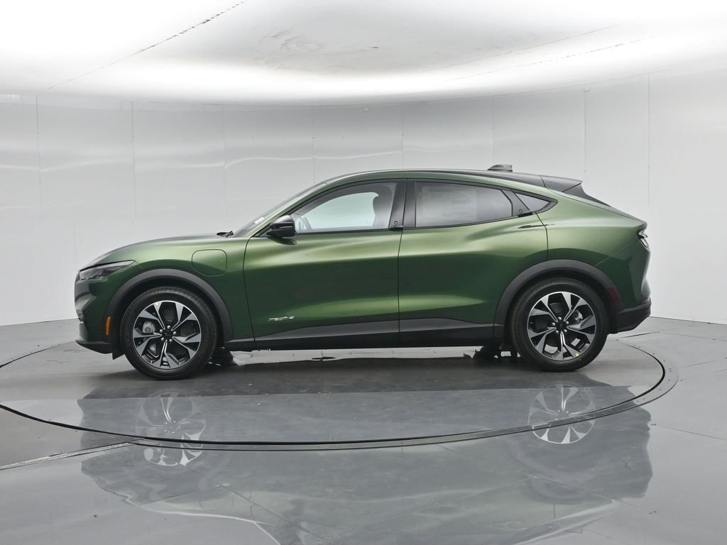 New 2026 Eruption Green Metallic Ford Select image 27