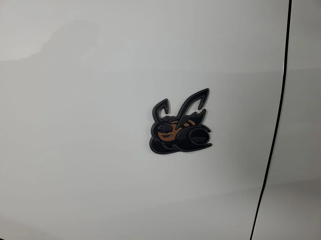 New 2026 White Knuckle Exterior Paint Dodge Scat Pack image 12