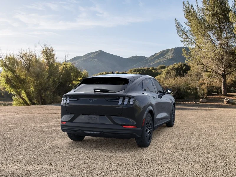 New 2026 Shadow Black Ford Premium image 8